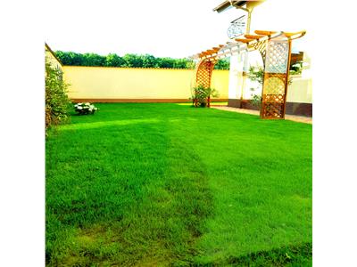 De vanzare vila exclusivista in pitesti langa padure