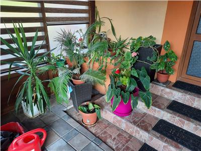 De vanzare vila p+m intrare smeura(proximitatea capitol )